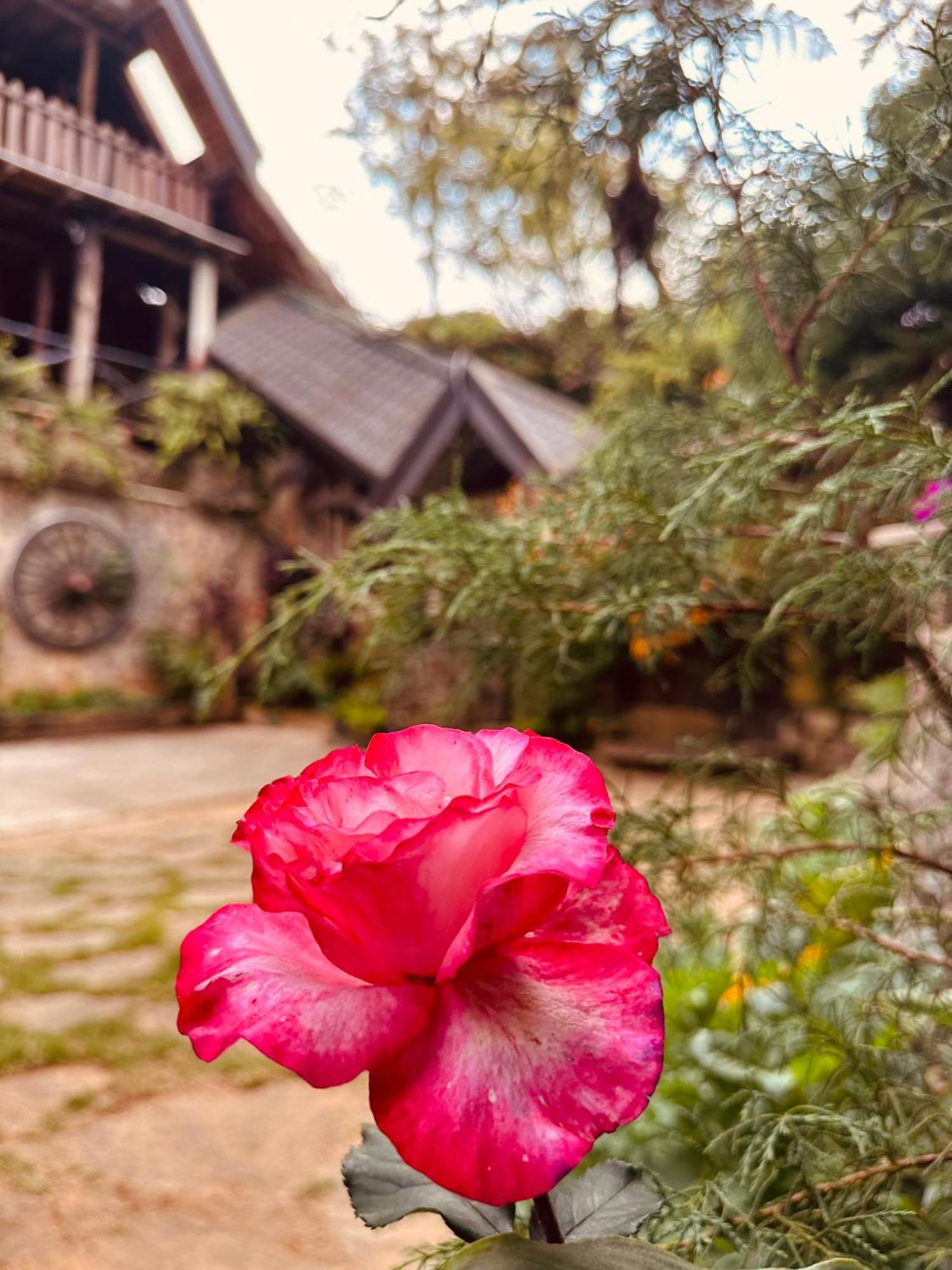 Villa 47 Nuwaraeliya Nuwara Eliya Kültér fotó