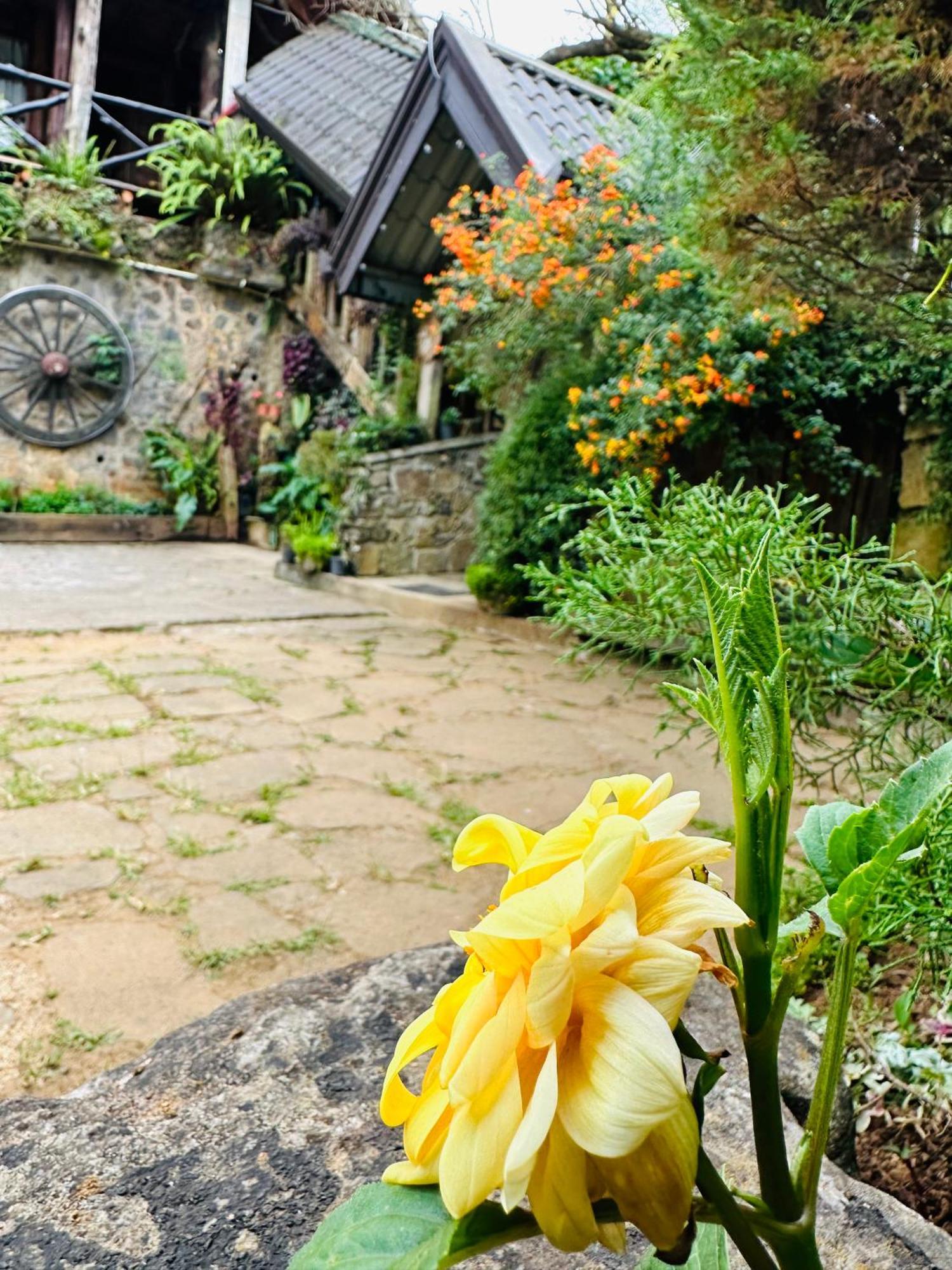 Villa 47 Nuwaraeliya Nuwara Eliya Kültér fotó