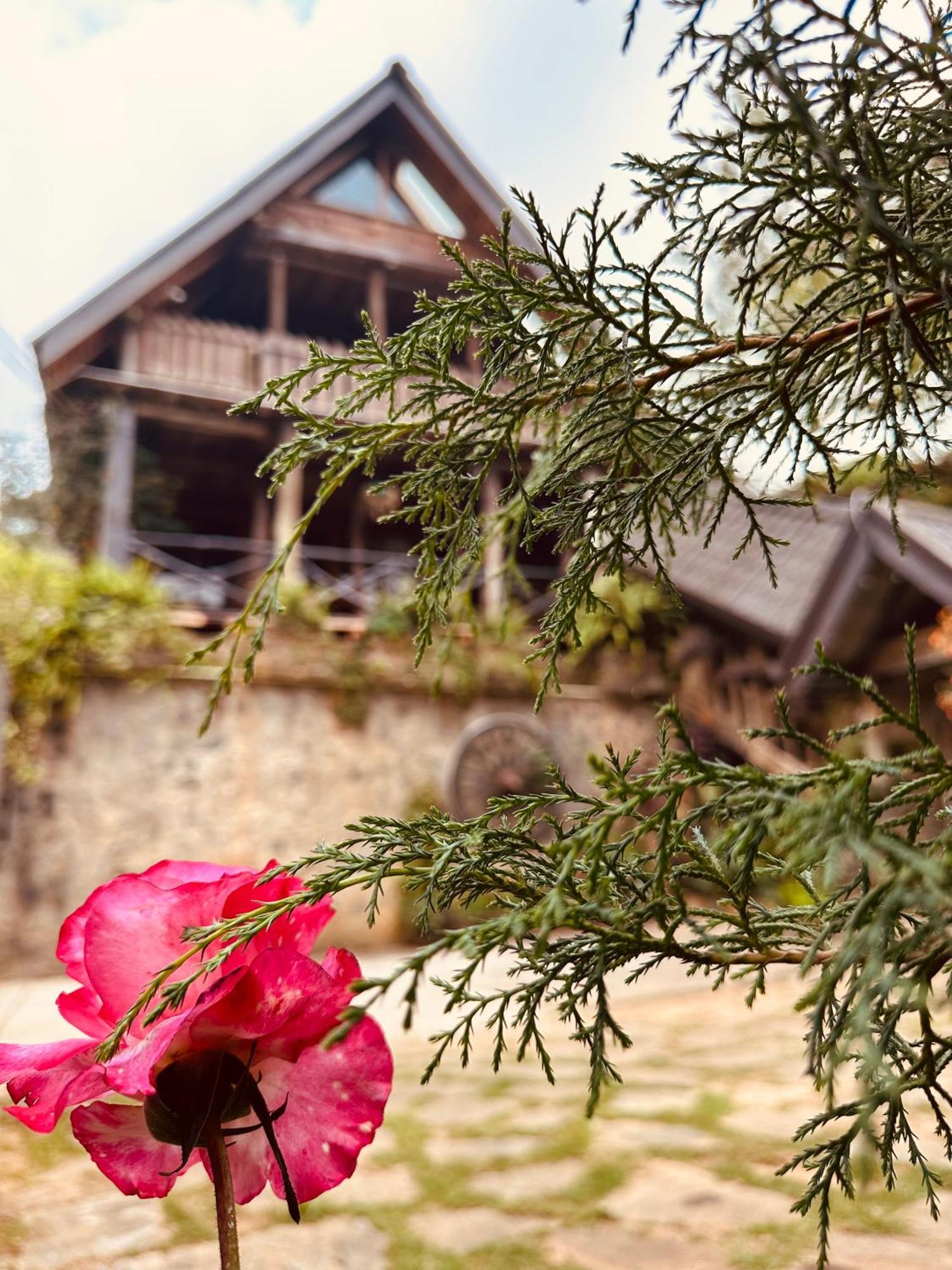 Villa 47 Nuwaraeliya Nuwara Eliya Kültér fotó