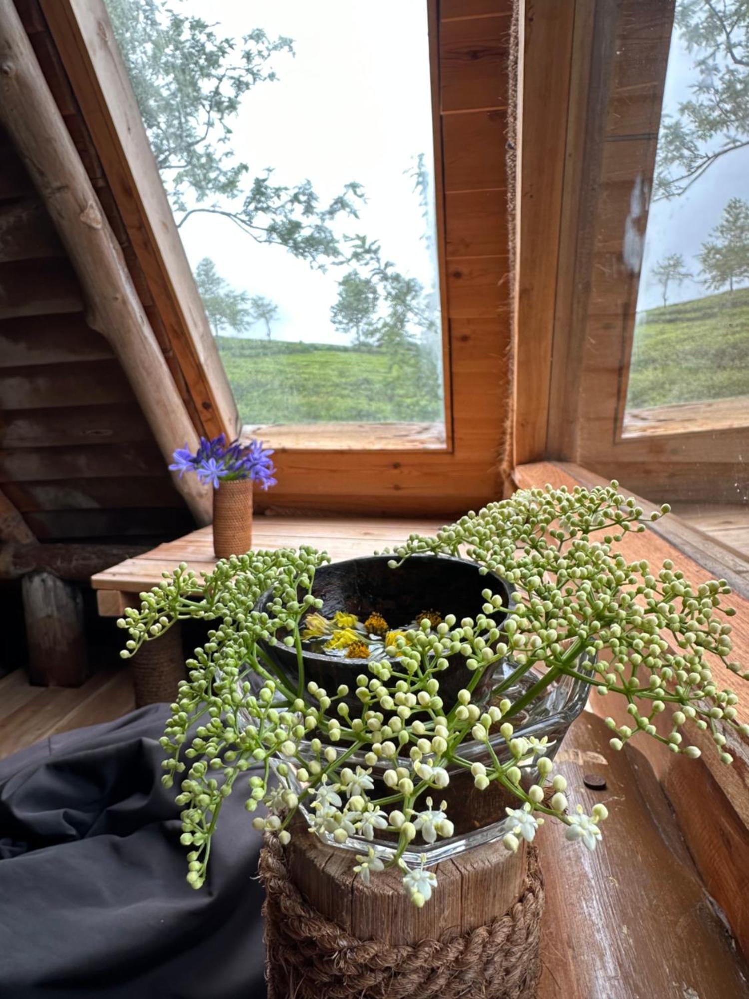 Villa 47 Nuwaraeliya Nuwara Eliya Kültér fotó