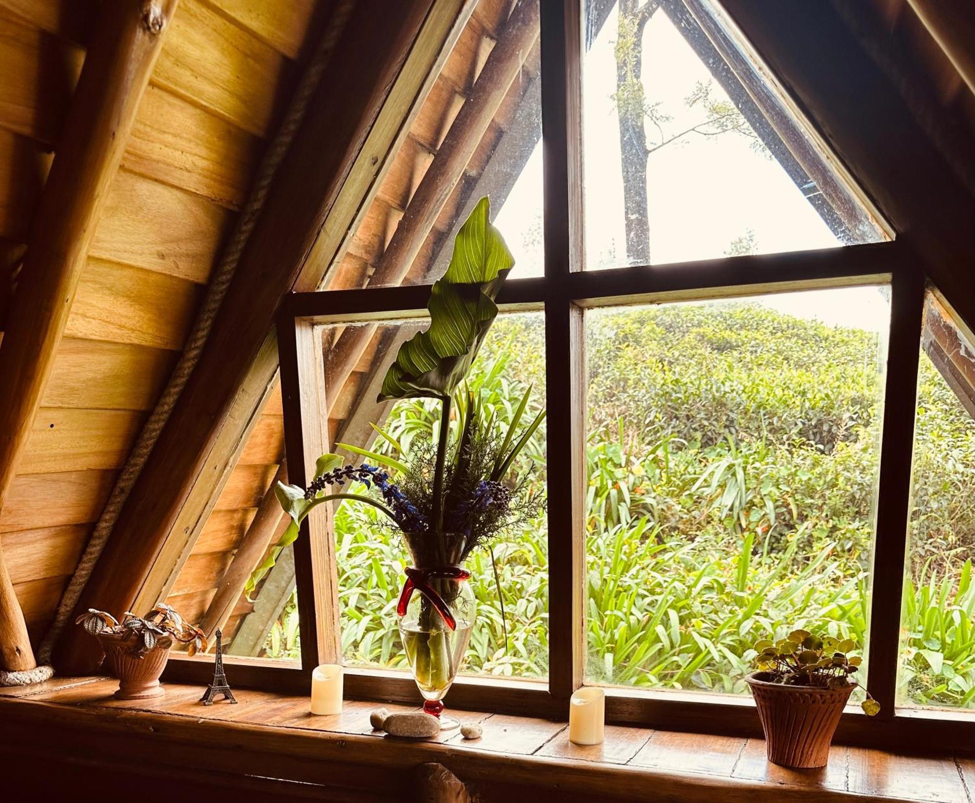 Villa 47 Nuwaraeliya Nuwara Eliya Kültér fotó