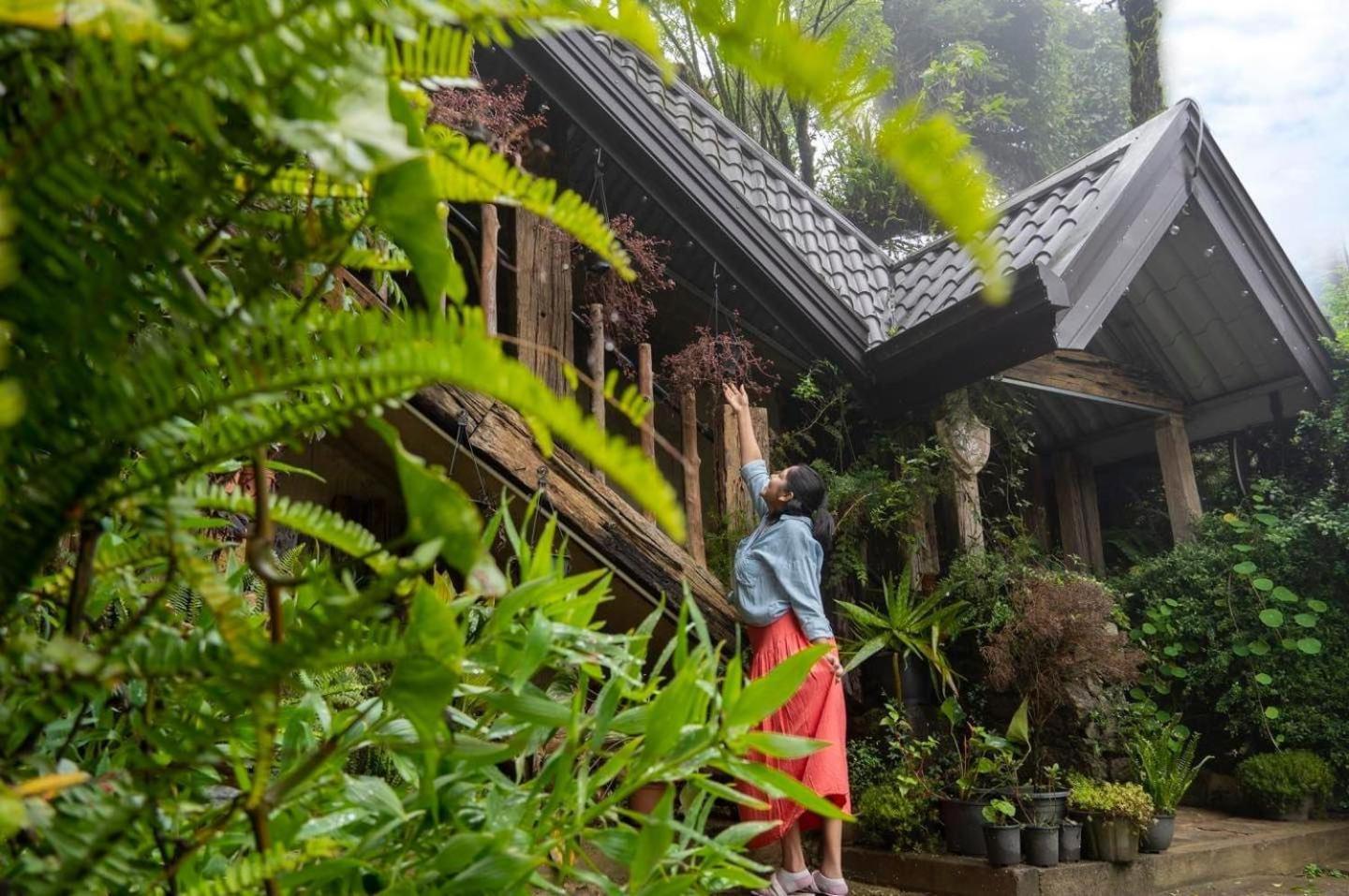 Villa 47 Nuwaraeliya Nuwara Eliya Kültér fotó