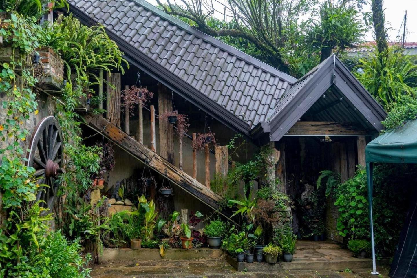 Villa 47 Nuwaraeliya Nuwara Eliya Kültér fotó